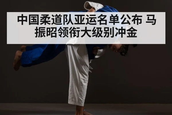 judo competition
